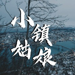 你的九儿 - 小镇姑娘 (抖音女声) (Cover: 陶喆)【動態歌詞/Lyrics Video】