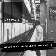 Nowall  - Never Wanted To Leave Your Arms