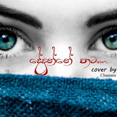 Dedunne Pata l Covered by Chamara Fernando