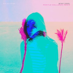 Palm Haze - Stay Cool (Pontus Wallgren Remix)