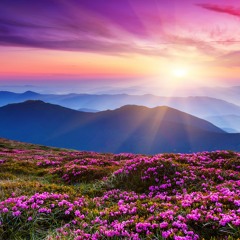 Surah Al A'la by Abdel Rahman Mos'ad