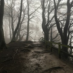 [FREE] GHSOTEMANE x SCARLXRD - "WHISPERER" TYPE BEAT