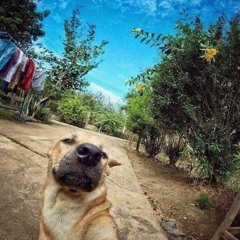 Thê Tử - TiKa HD (tặng các chị em phụ nữ 20-10 vui vẻ)