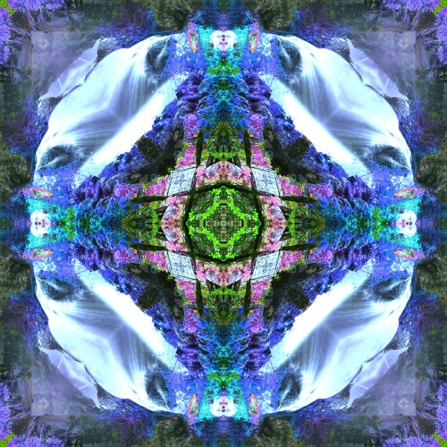 Frozen Motion In Time