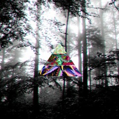 Meanwhile In Mexico Tribecore/Acidcore