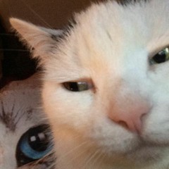 Beat - Dumme Scheiße