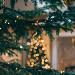 MUA GIANG SINH NAY / mia