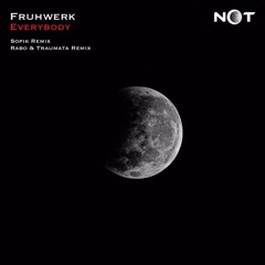 Fruhwerk - Everybody (Original Mix)
