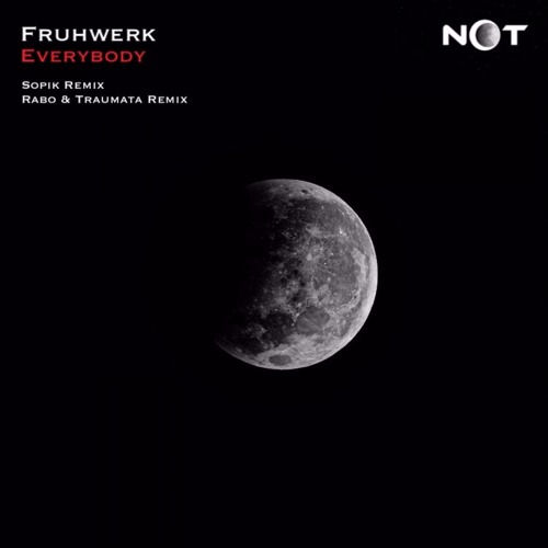 Fruhwerk - Everybody (Original Mix)