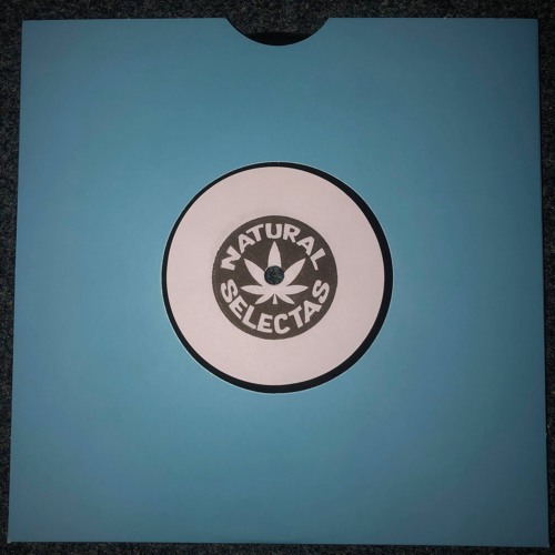 Danny T & Tradesman - Roaming Dub Part 1 / Roaming Dub Part 2 - NSRDUB008