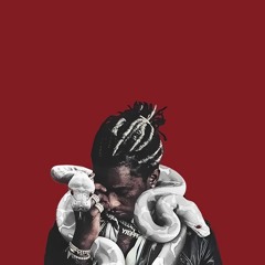 DemonSlayer