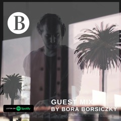 Beach Podcast Guest Mix by Bora Borsiczky