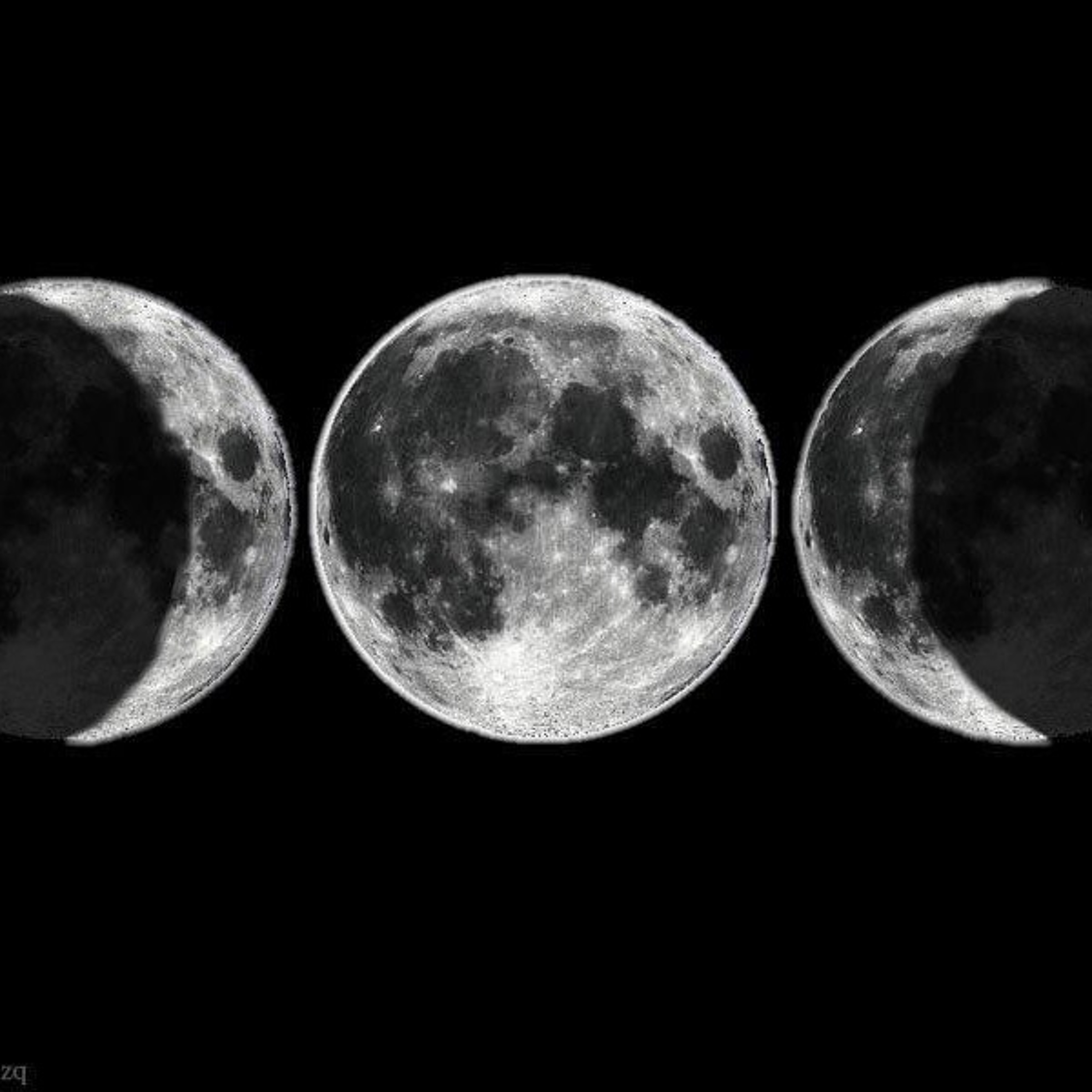 The Persephone Program: Astrology & More