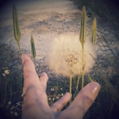 Chalwa - wait/loop/hang - 0011