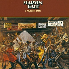 Marvin Gaye - After The Dance (1976)