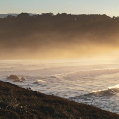 Owl's Electric Dream_Not Alone