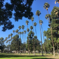 HOUGHTON PARK LOCALS