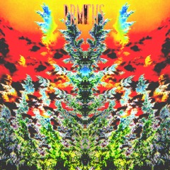 fields of euphoria // downpour