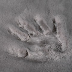 FREE (Hard)Dark Trap Type Beat | Trap Instrumental 2019