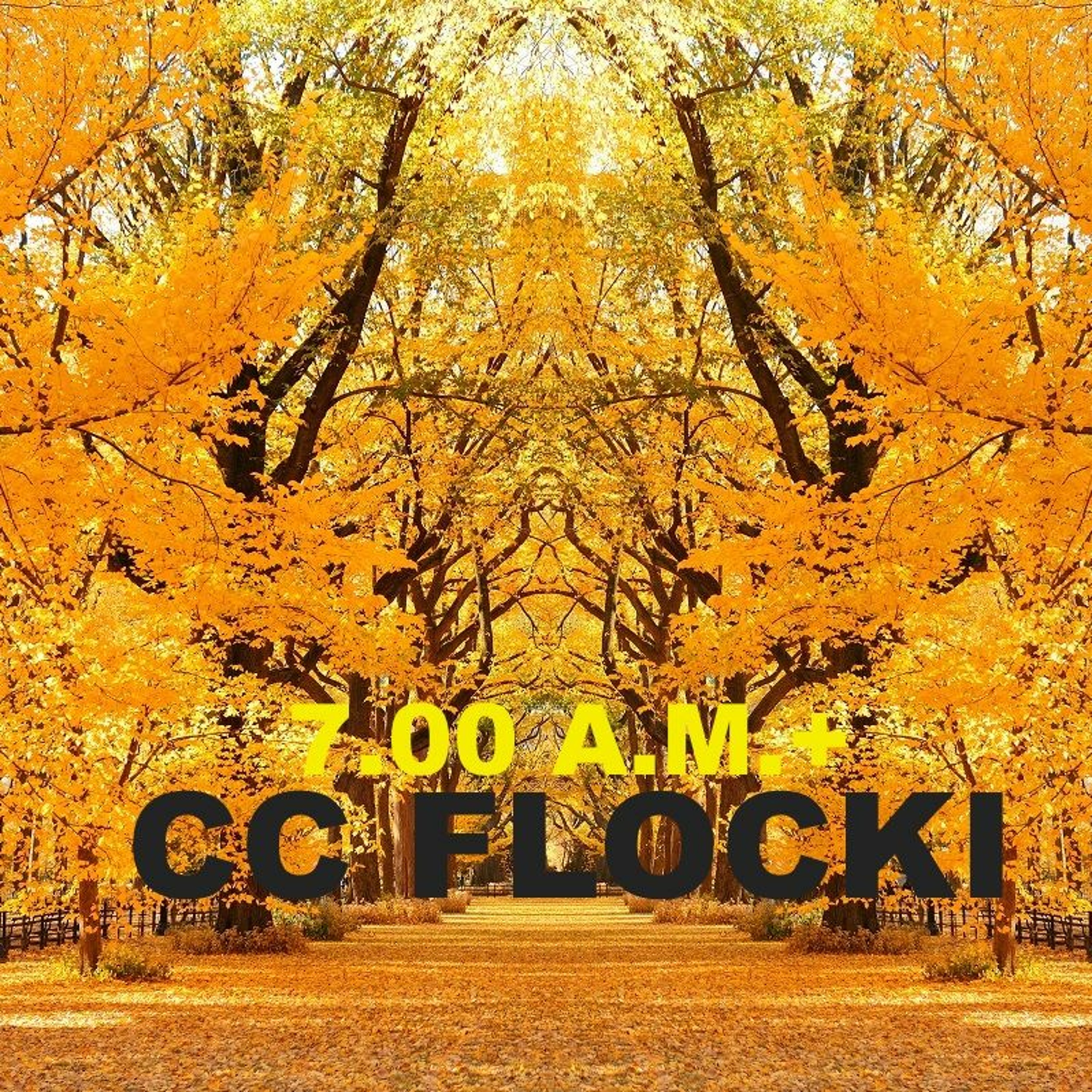 CC FLOCKI