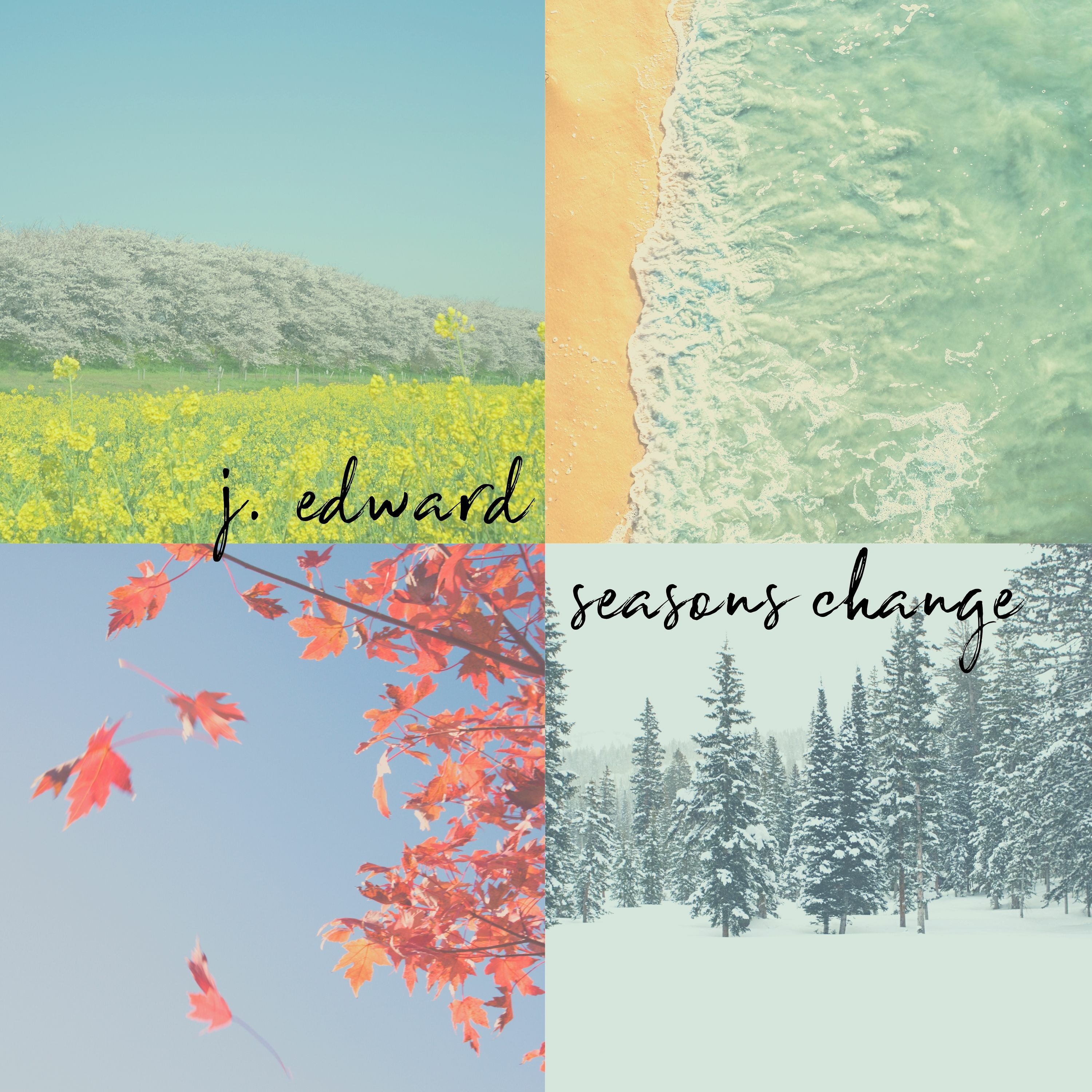 Sunflowers episode artwork