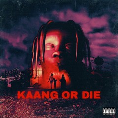 Travis Scott - STARGAZING (KAANG OR DIE Remix)