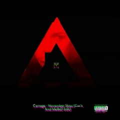 November Skies - Carnage (Junkie Kid Remix) (Cuc's And MeRaD Edit)