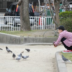 ハヤオキ