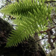 From me here to you there