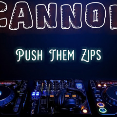 Push Them Zips By: CANNON "Lil Flip" Beat.