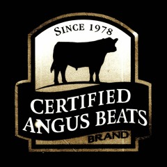 Theme 3-Blade Runner - Sound Design Reflection Phase 2 - The Rabbit Hole - 2014