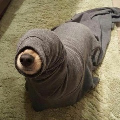 Boyfriend - Ariana Grande ( Cover )