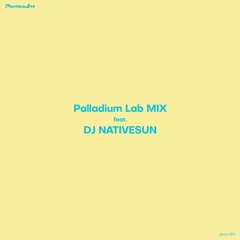 Palladium Lab Mix feat. DJ NativeSun