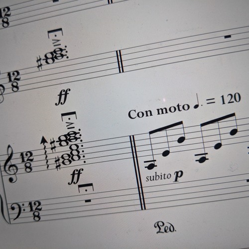 Dissenting Views (for chamber ensemble) [live]