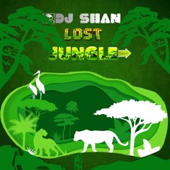 LOST JUNGLE (part 4) DEEP HOUSE MIX by DJ SHAN