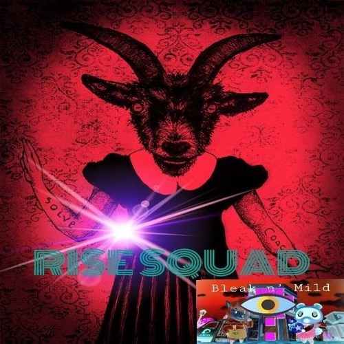Bleak n Mild - Rise Squad