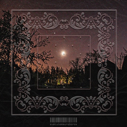 СХОЖУ С УМА