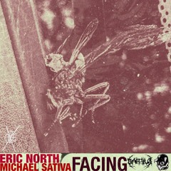 FACING [Feat. ERIC NORTH] (Prod. Michael Sativa)