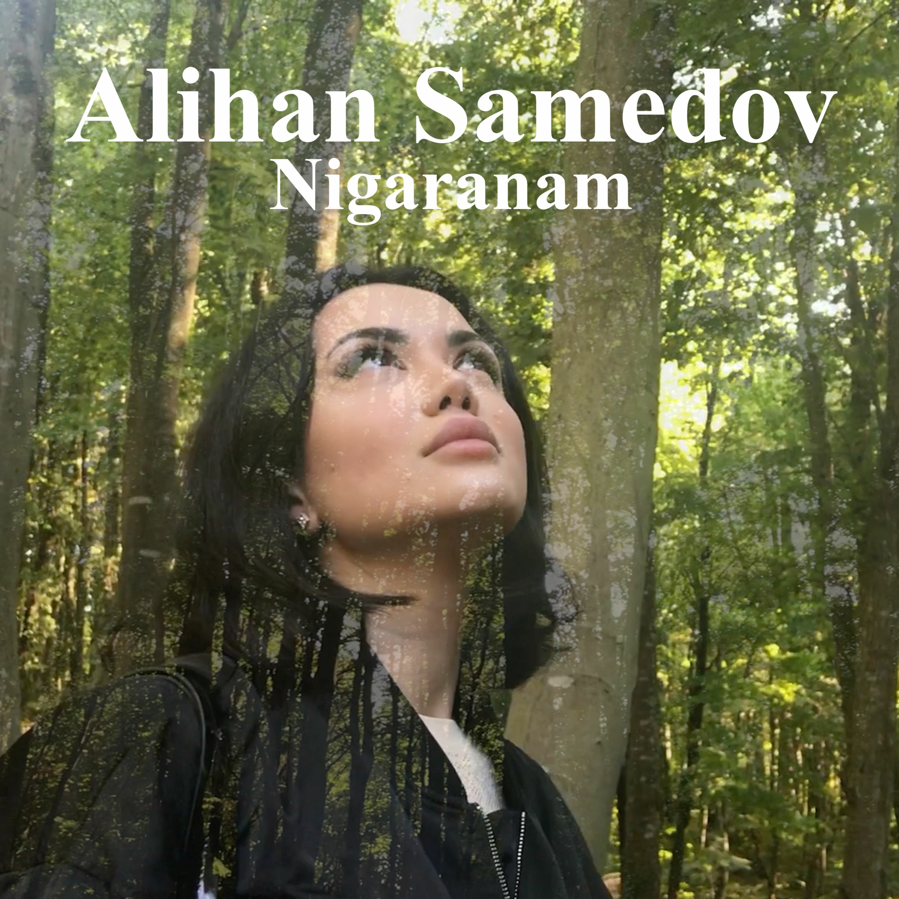 Nigaranam episode artwork