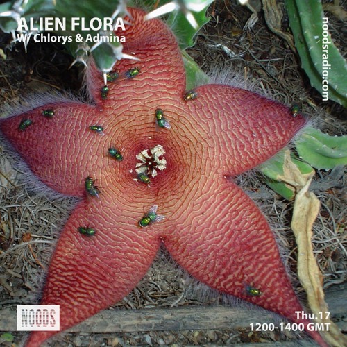 Alien Flora w/ Chlorys & Admina ─ Noods Radio (17.10.19)