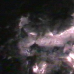 project luna & biocide - shattered