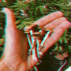 Téklaté! ☢️ [23]