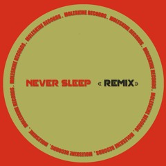 POUR LE PLAISIR_NEVER SLEEP (REMIX)
