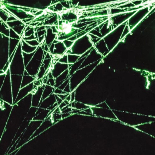 Spider Variations