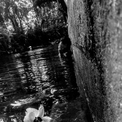 Boy in space - goodbye