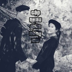 VCYDER || Gặp Nhau Giữa Rừng Mơ (Remix)