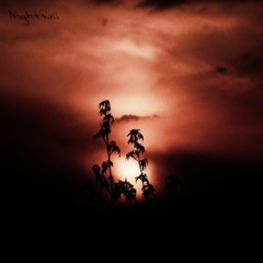 Daylight (feat. Liquid Universe)