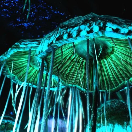 3WA - Glowing Mushrooms (CXT006)