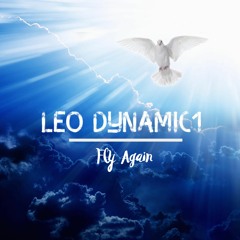 'Fly Again' by Leo Dynamic1