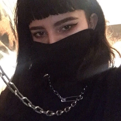 псы всегда попадают в рай